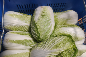 配送蔬菜公司需要哪些資質?全面解析助您合規經營